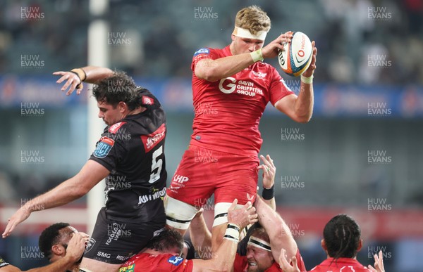 170525 - Hollywoodbets Sharks v Scarlets - United Rugby Championship - Taine Plumtree of the Scarlets