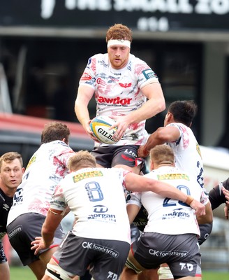251025 - Hollywoodbets Sharks v Scarlets - United Rugby Championship - Harvey Cuckson of the Scarlets
