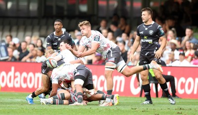 251025 - Hollywoodbets Sharks v Scarlets - United Rugby Championship - Taine Plumtree of the Scarlets