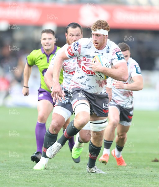 251025 - Hollywoodbets Sharks v Scarlets - United Rugby Championship -  Harvey Cuckson of the Scarlets
