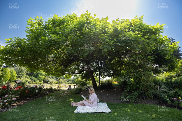 180722 - A woman reads a book in the shade of a tree in Roath Park in Cardiff as people appear to heed the Amber Warning for extreme heat and avoid the sun in the early afternoon