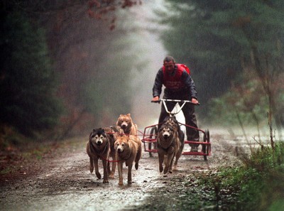 Husky Racing Chepstow 031294