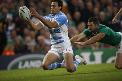 Ireland v Argentina 181015