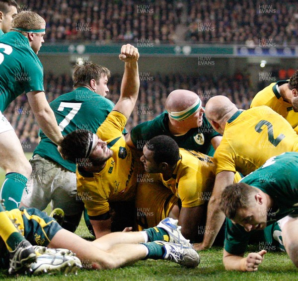 16/11/13 - Ireland v Australia - Guiness SeriesAustralian players celebrate scoring the fourth try (c) Huw Evans Picture Agency