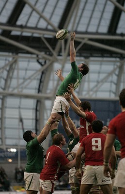 05.02.12 - Ireland v Wales - RBS Six Nations.Ireland's James Coughlan steals a crucial lineout ball.