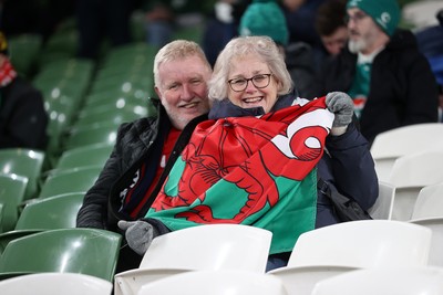 060326 - Ireland v Wales - Guinness Six Nations Championship - Wales fans