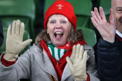060326 - Ireland v Wales - Guinness Six Nations Championship - Wales fans