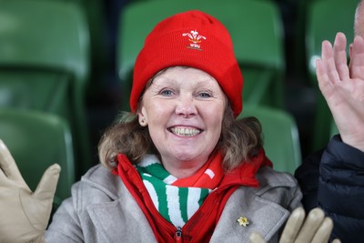 060326 - Ireland v Wales - Guinness Six Nations Championship - Wales fans