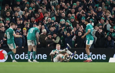 060326 - Ireland v Wales - Guinness Six Nations Championship - Fans celebrate Jamie Osborne of Ireland scoring a try