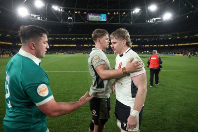 060326 - Ireland v Wales - Guinness Six Nations Championship - Aaron Wainwright of Wales shakes hands with the opposition at full time