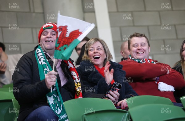 060326 - Ireland v Wales - Guinness Six Nations Championship - Wales fans