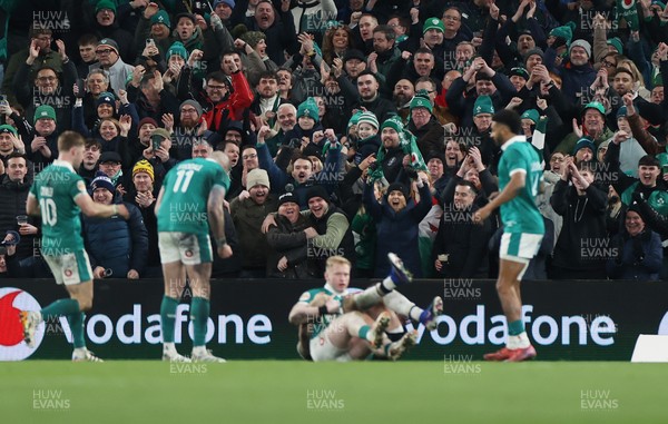 060326 - Ireland v Wales - Guinness Six Nations Championship - Fans celebrate Jamie Osborne of Ireland scoring a try