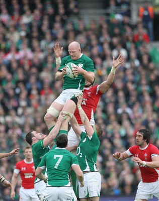 13.03.10 Ireland v Wales... Ireland's Paul O'Connell wins lineout ball. 