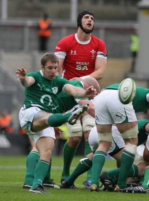 13.03.10 Ireland v Wales... Ireland's Tomas O'Leary kicks through. 