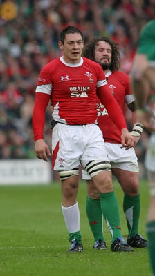 13.03.10 Ireland v Wales... Wales Gareth Delve. 