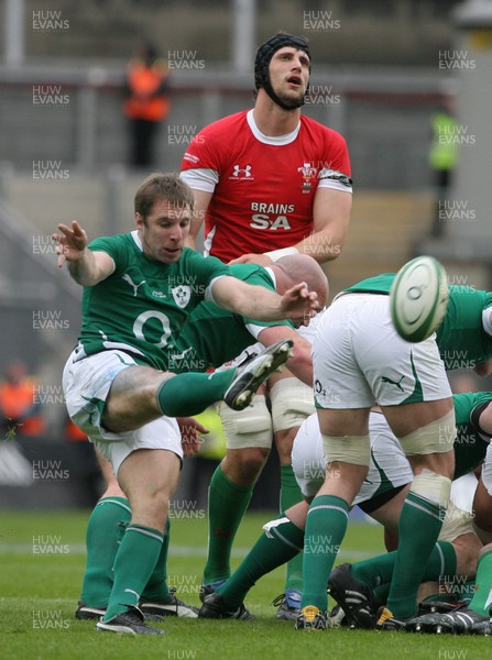13.03.10 Ireland v Wales... Ireland's Tomas O'Leary kicks through. 