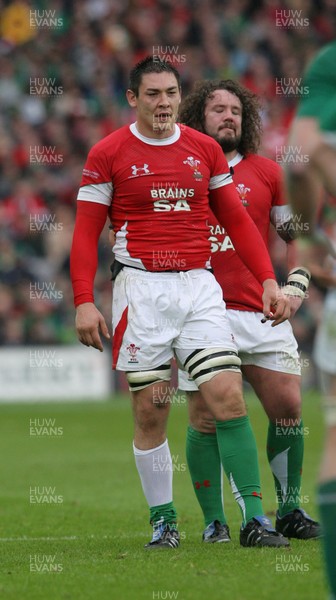13.03.10 Ireland v Wales... Wales Gareth Delve. 