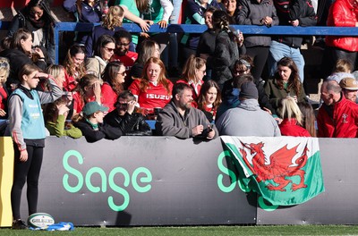 130424 - Ireland  v Wales, Guinness Women’s 6 Nations - Wales fans cheer on the team during the match