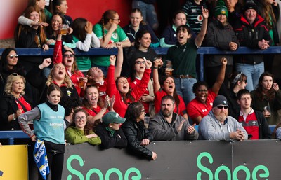 130424 - Ireland  v Wales, Guinness Women’s 6 Nations - Wales fans cheer on the team during the match