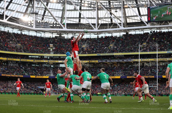 240224 - Ireland v Wales - Guinness 6 Nations Championship - Adam Beard of Wales wins the line out