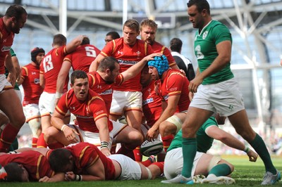 Ireland v Wales 290815