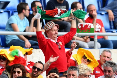 110323 - Italy v Wales - Guinness Six Nations - Wales supporter