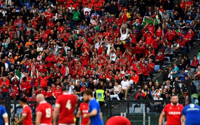 110323 - Italy v Wales - Guinness Six Nations - Wales supporters