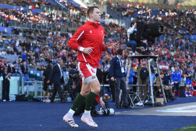 110323 - Italy v Wales - Guinness Six Nations - Liam Williams