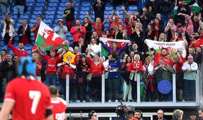 110323 - Italy v Wales - Guinness Six Nations - Wales Supporters