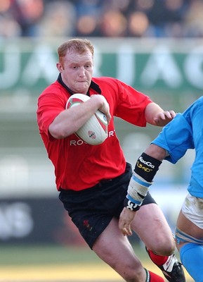 150203 - Italy v Wales - Six Nations Championship -  Wales' Martyn Williams