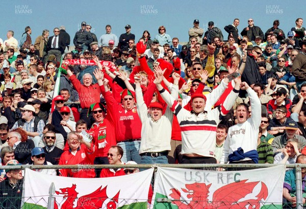 200399 - Italy v Wales - International Friendly -  Wales fans