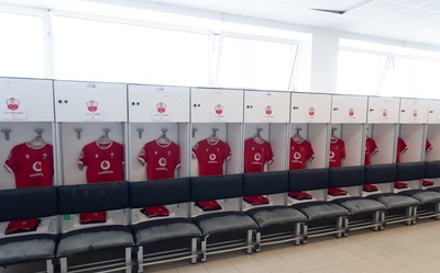 Italy v Wales 270425