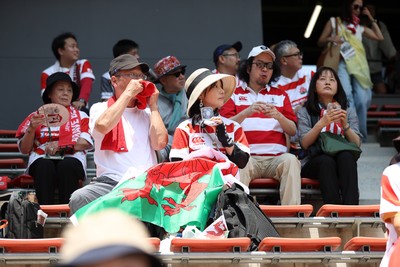 050725 - Japan v Wales - Summer Tour First Test - Fans before the game