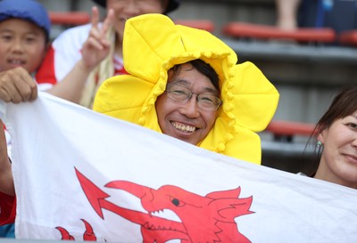 050725 - Japan v Wales - Summer Tour First Test - Fans before the game