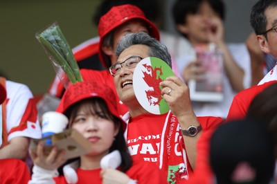 050725 - Japan v Wales - Summer Tour First Test - Fans before the game