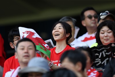 050725 - Japan v Wales - Summer Tour First Test - Fans before the game
