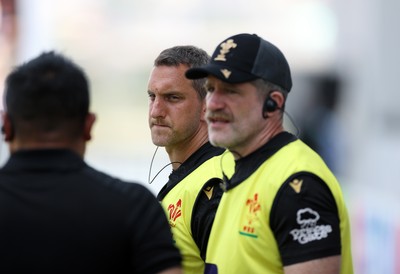 050725 - Japan v Wales - Summer Tour First Test - Physiotherapists Ben Warburton and Ben Stirling