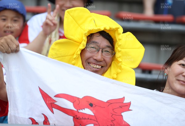 050725 - Japan v Wales - Summer Tour First Test - Fans before the game