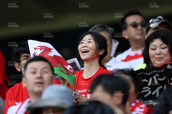 050725 - Japan v Wales - Summer Tour First Test - Fans before the game