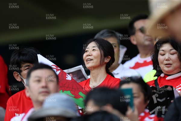050725 - Japan v Wales - Summer Tour First Test - Fans before the game