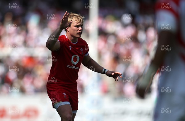 050725 - Japan v Wales - Summer Tour First Test - Blair Murray of Wales 