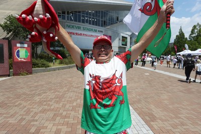 120725 - Japan v Wales - Summer Series - Second Test - Fans outside the stadium