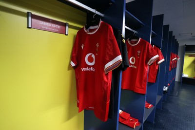 120725 - Japan v Wales - Summer Series - Second Test - Wales dressing room