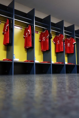 120725 - Japan v Wales - Summer Series - Second Test - Wales dressing room