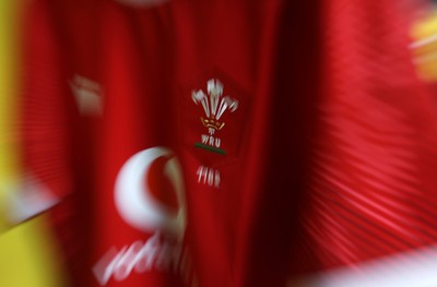 120725 - Japan v Wales - Summer Series - Second Test - Wales dressing room