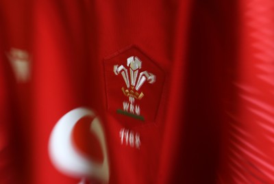 120725 - Japan v Wales - Summer Series - Second Test - Wales dressing room