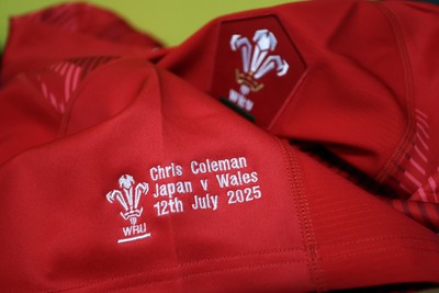 120725 - Japan v Wales - Summer Series - Second Test - Chris Coleman of Wales jersey 