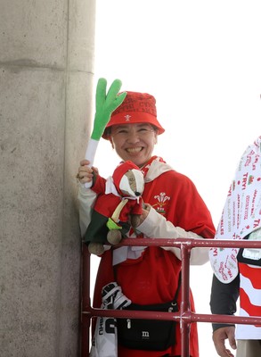 120725 - Japan v Wales - Summer Series - Second Test - Fans