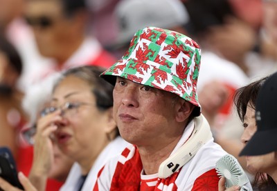 120725 - Japan v Wales - Summer Series - Second Test - Fans before the game