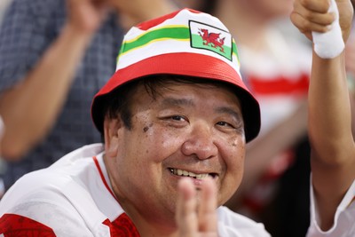 120725 - Japan v Wales - Summer Series - Second Test - Fans before the game